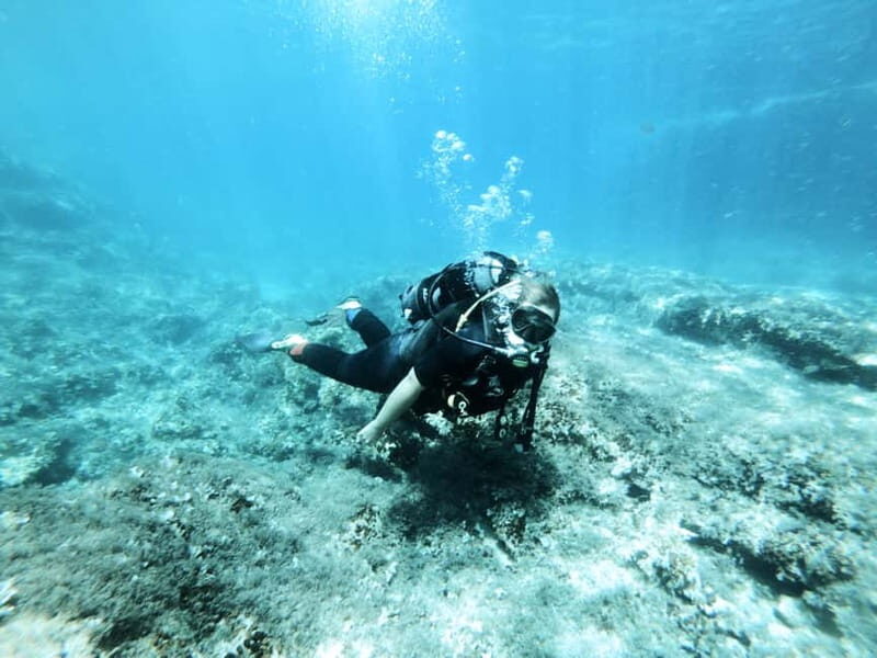 Malta: First Experience Scuba Diving Lesson - Key Points