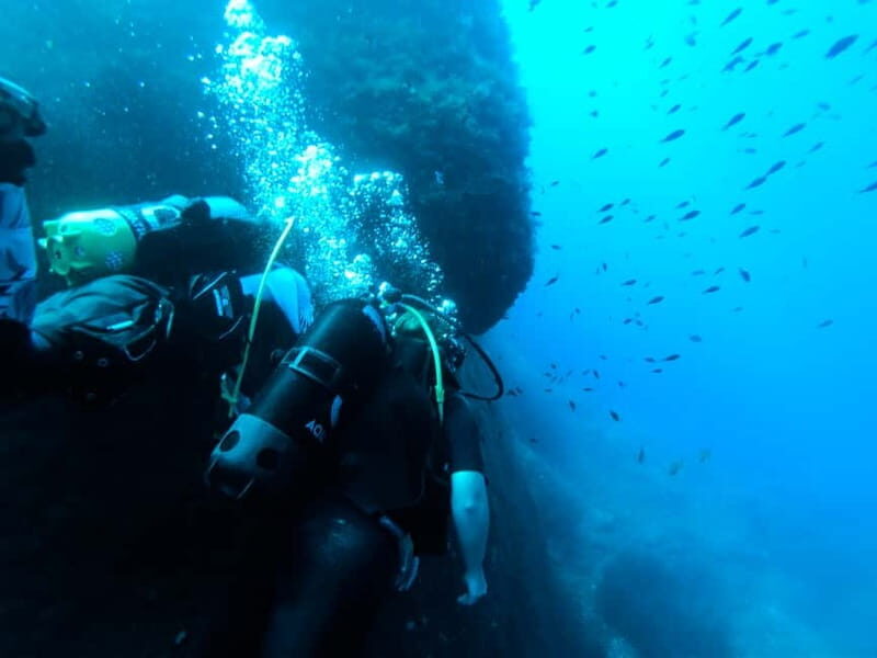 Malta: First Experience Scuba Diving Lesson - Who Would Love This Experience