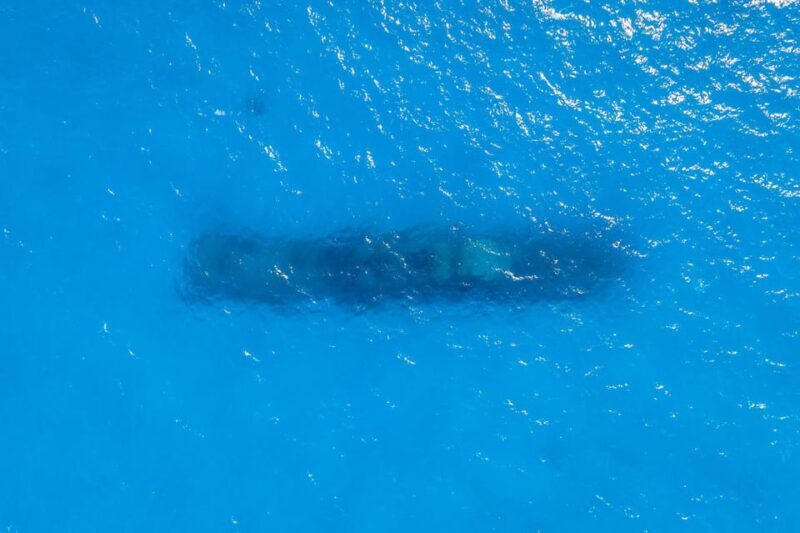 Malta, Gozo & Comino: Archipelago Charter. Duration 8 hours. - Who Is This Tour Best For?