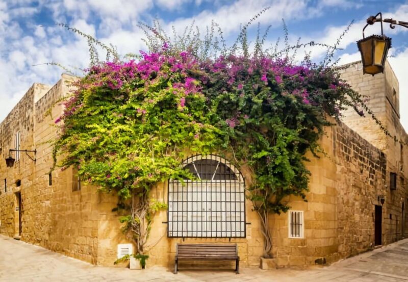 Malta: Mdina, Dingli Cliffs and San Anton Botanical Gardens - Frequently Asked Questions