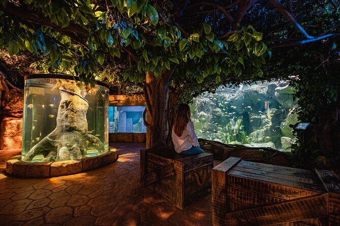 Malta National Aquarium Entrance Ticket - What to Expect from the Malta National Aquarium