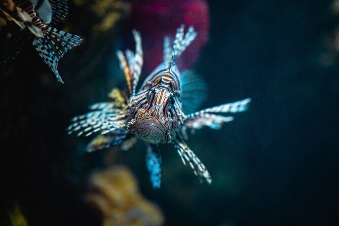 Malta National Aquarium Entrance Ticket - Who Will Appreciate This Tour Most?