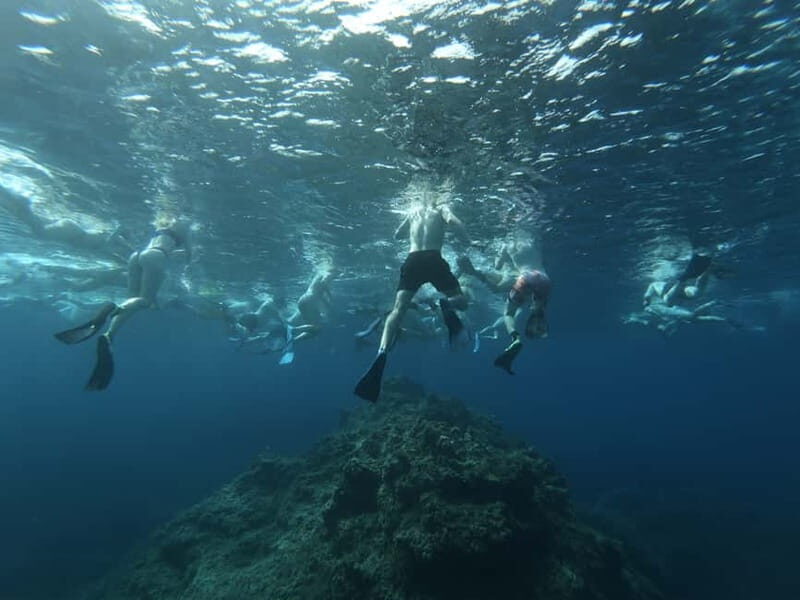 Malta: Snorkeling Tour - What Makes This Tour Stand Out