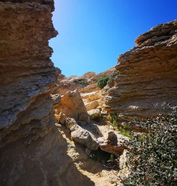 Malta: Snorkeling Tour - Practical Tips for Participants