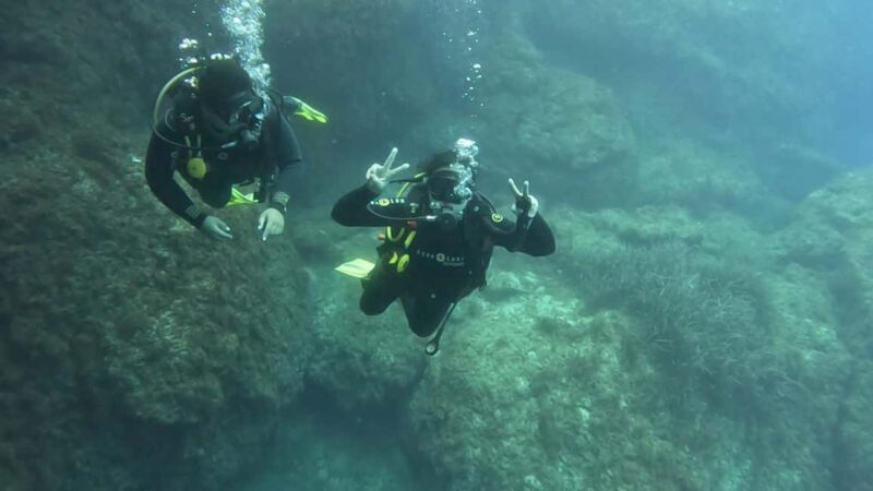 Malta St Pauls Bay: PADI Discover Scuba Diving Experience - What the Tour Looks Like