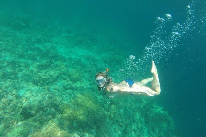 Mamutik + Sapi Island SnorkelingTrip from Kota Kinabalu - FAQ