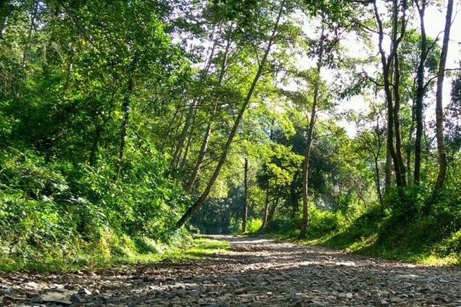 Manakamana Darshan- Day Tour - Who Should Consider This Tour?