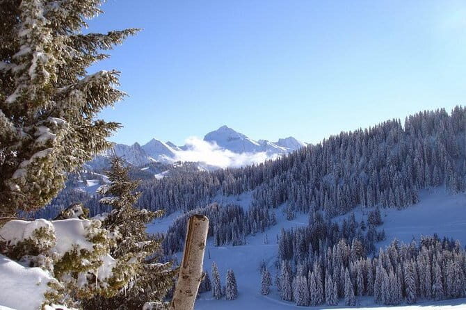 Manali Highlights Full Day Guided City Tour - FAQs