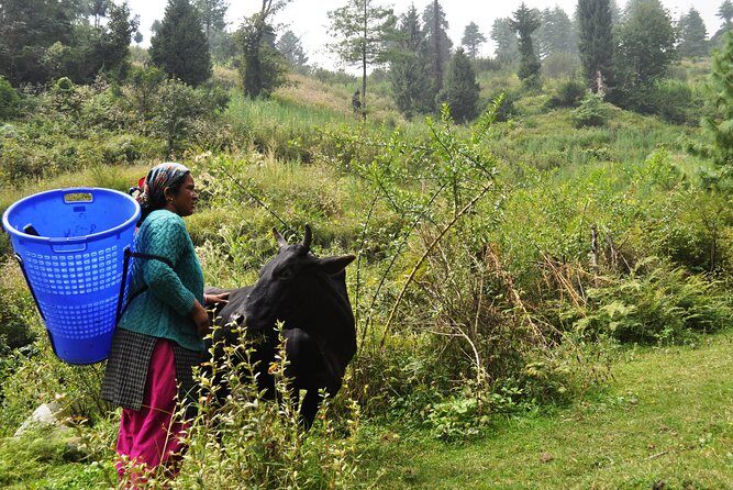 Manali Village Tour - Final Thoughts