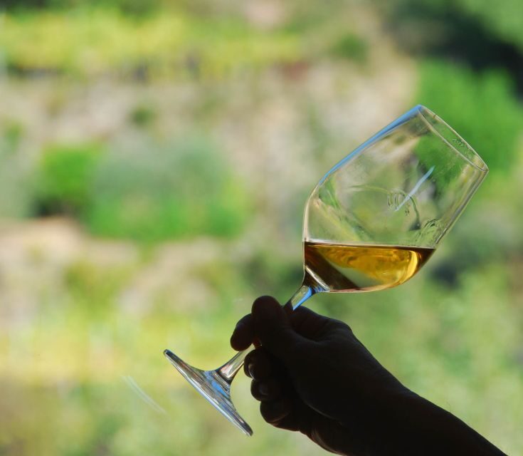 Manarola: Cinque Terre Wine Tasting - The Authentic Charm of Manarola’s Wine Scene