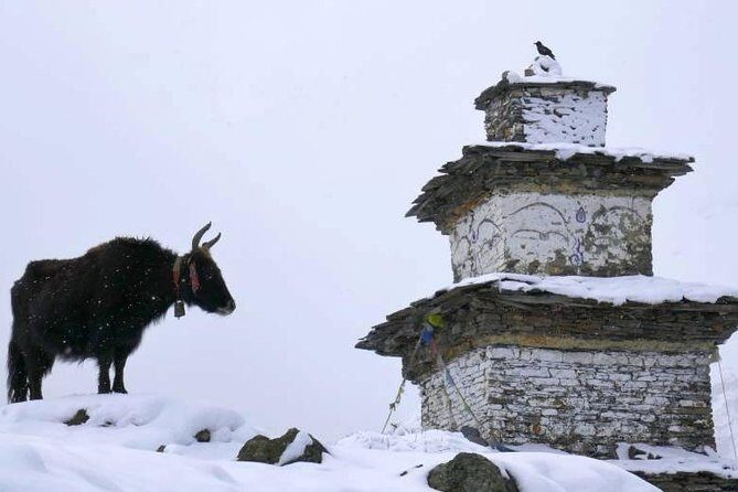 Manaslu Circuit Trekking - 17 Days - Frequently Asked Questions