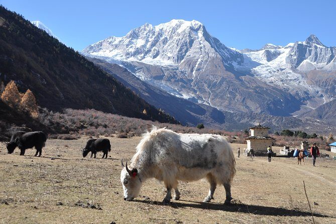Manaslu Tsum Valley Trekking - Final Words