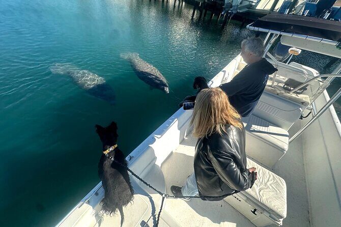 Manatee and Wildlife Boat Tour - Experience the Manatee and Wildlife Boat Tour in Crystal River
