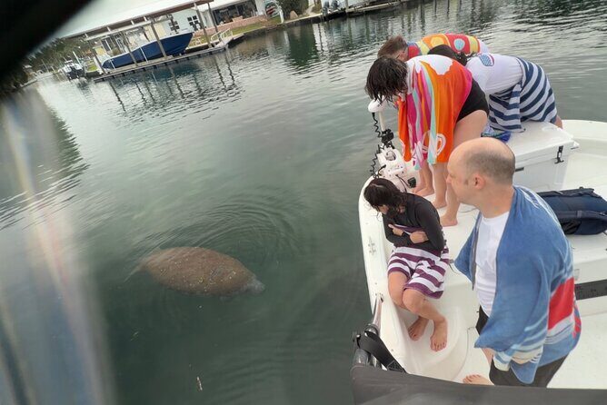 Manatee and Wildlife Boat Tour - Practical Considerations
