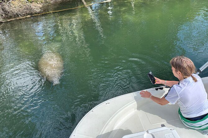 Manatee and Wildlife Boat Tour - The Sum Up