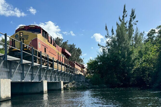 Manatee Encounter Guided Eco Kayak or Paddle Board Adventure - Key Points