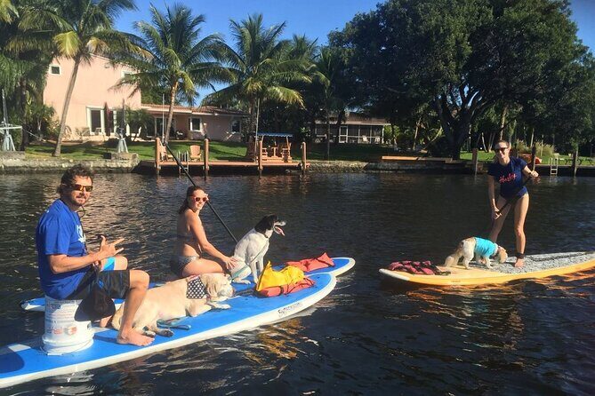 Manatee Encounter Guided Eco Kayak or Paddle Board Adventure - The Sum Up