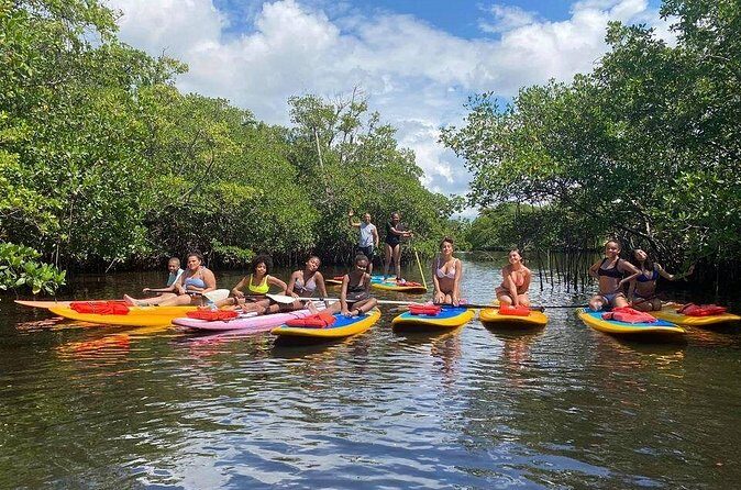 Manatee Encounter Guided Eco Kayak or Paddle Board Adventure - FAQs