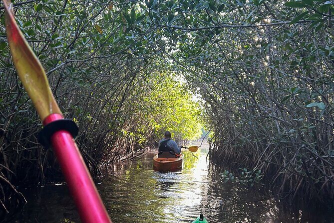 Manatees, Grasslands and Mangroves kayak Tour (Small Group Tour) - FAQ