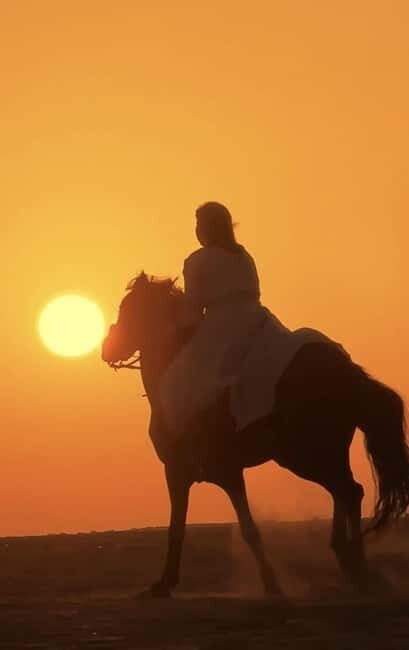 Manavgat Side: Horse Riding on the Beach and in the Forest - Final Thoughts: Is This Tour Right for You?