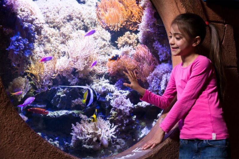 Manchester: SEA LIFE Entrance Ticket - Key Points