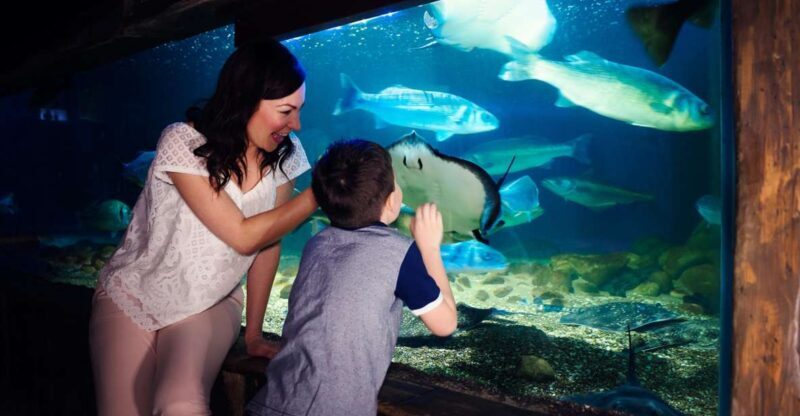 Manchester: SEA LIFE Entrance Ticket - Authentic Visitor Experiences