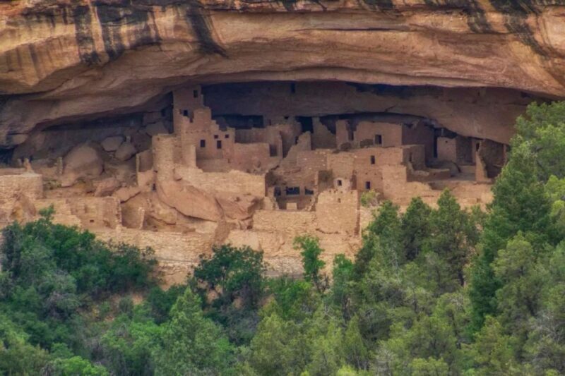 Mancos: Mesa Verde National Park Half-Day Tour - What to Expect on the Tour