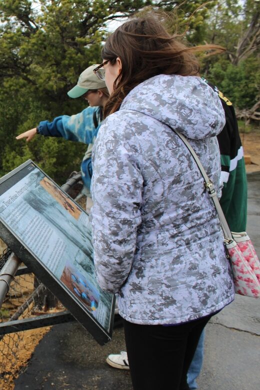 Mancos: Mesa Verde National Park Half-Day Tour - Who Should Book This Tour?