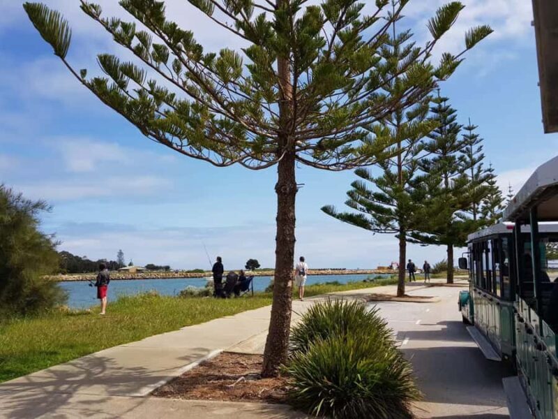 Mandurah: Big Toot 30 mins scenic tour - What to Expect from the Big Toot Experience