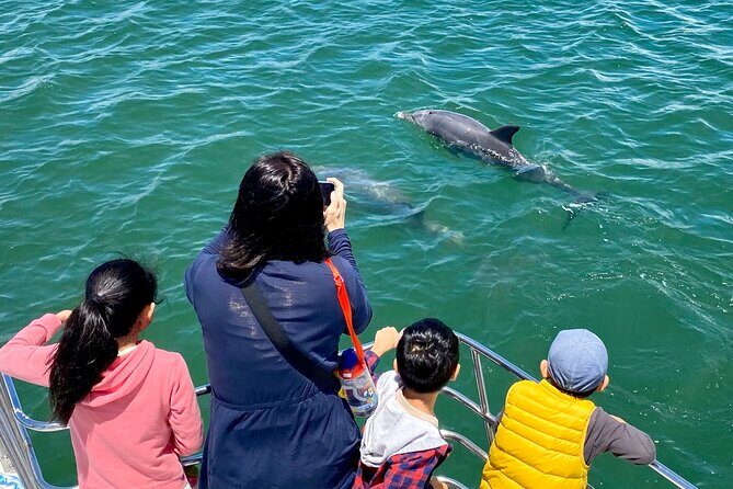 Mandurah Dolphin Cruise and Views - Is This Tour Worth The Price?
