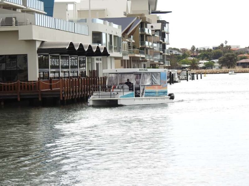 Mandurah: Sightseeing Dolphin Cruise with Tour Guide - Key Points