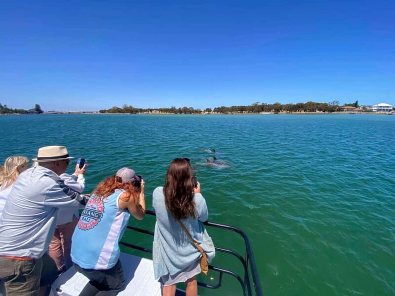 Mandurah: Sightseeing Dolphin Cruise with Tour Guide - FAQ