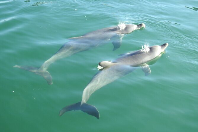 Mandurah Sunset Cruise - The Value of the Experience