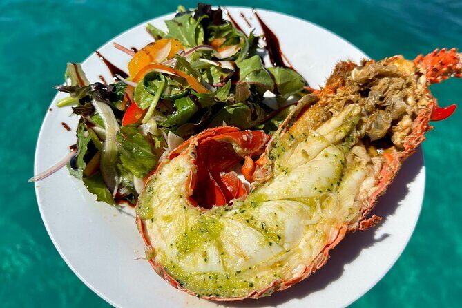 Mandurah Wild Seafood Experience - What to Expect from the Tour