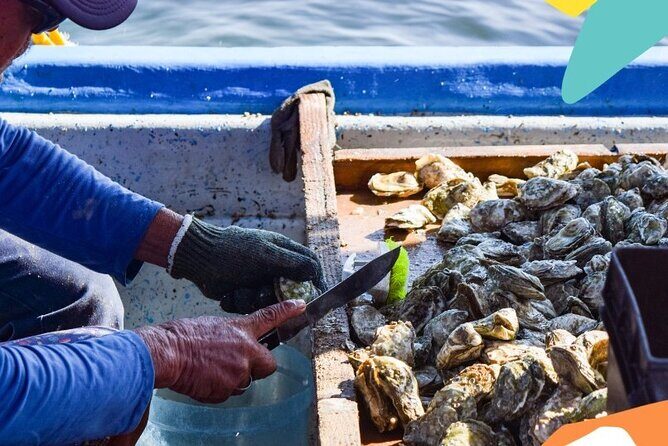 Mangrove Adventure with Snorkeling and Shellfish Tasting - The Sum Up