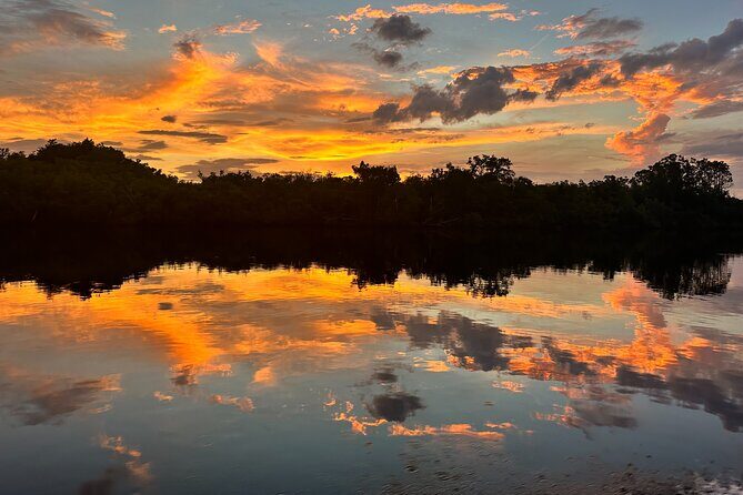Mangrove and Gulf Excursion Tour - Key Points