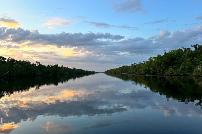 Mangrove and Gulf Excursion Tour - An In-Depth Look at the Tour Itinerary