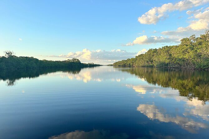 Mangrove and Gulf Excursion Tour - Why This Tour Stands Out