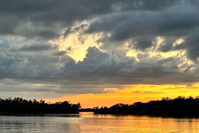 Mangrove and Gulf Excursion Tour - Final Thoughts