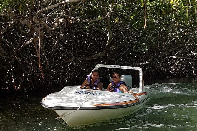 Mangrove and Lagoon Speed Boat Tour - Final Thoughts