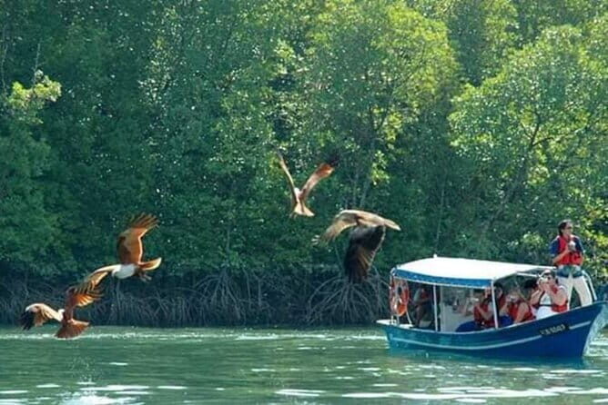 Mangrove Boat Tour Through Kilim Geo Forest Park Langkawi - Frequently Asked Questions