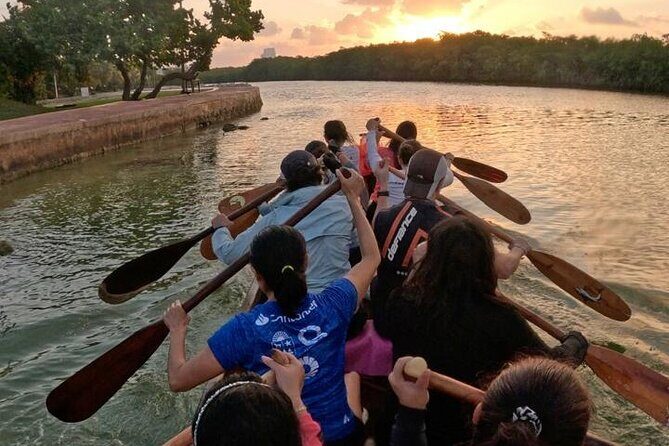 Mangrove Canoe Route at Sunset between Sacred Ecosystems - Discovering Cancun’s Hidden Gem: The Mangrove Canoe Route at Sunset