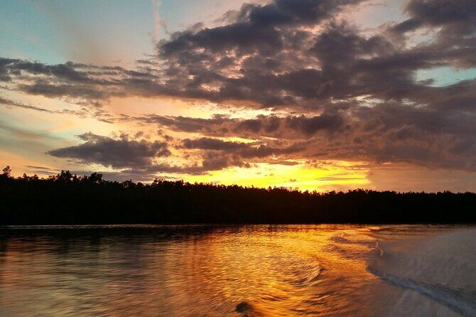 Mangrove Cruise with Fireflies Tour Including Dinner from Sandakan - The Experience Break Down: What You Can Expect