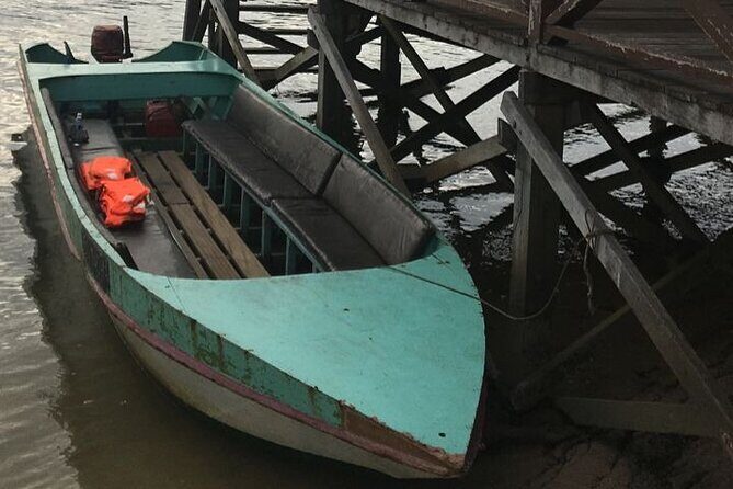 Mangrove Cruise with Fireflies Tour Including Dinner from Sandakan - What Past Travelers Say