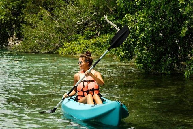 Mangrove Forest Bali Canoe Eco Tour - Final Thoughts: Is It Worth It?