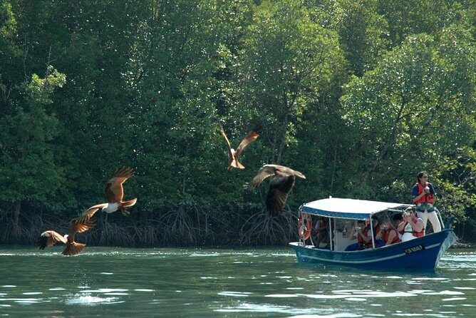 Mangrove Forest Tour In Langkawi - Who Will Enjoy This Tour?