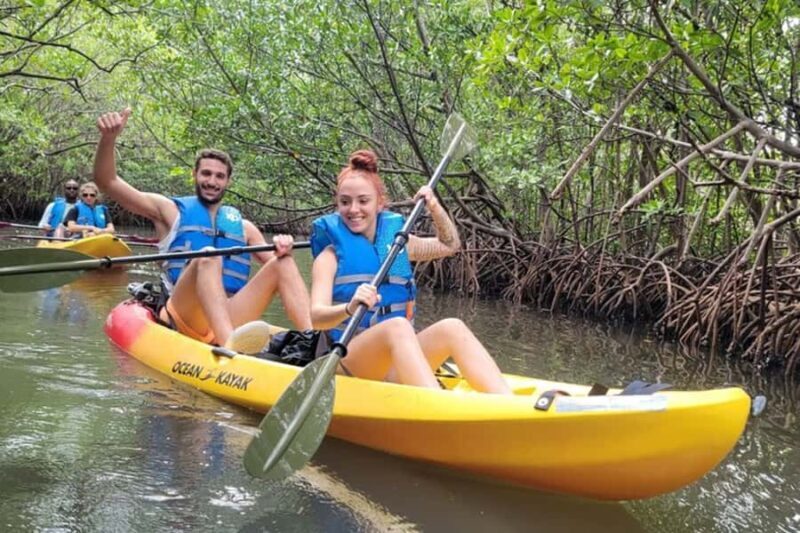 Mangrove Jungle exploration on SUP/Kayak - The Itinerary: What You Can Expect