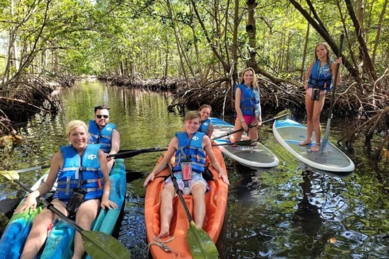 Mangrove Jungle exploration on SUP/Kayak - The Experience for Different Types of Travelers
