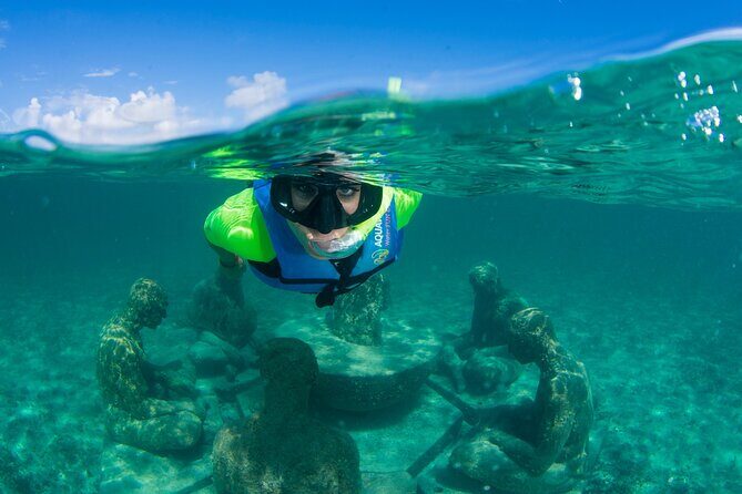 Mangrove Jungle Speedboat Experience - FAQ