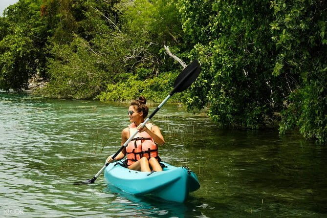 Mangrove Kayaking Adventure in Langkawi (Shared Tour) - The Details of the Mangrove Kayaking Adventure